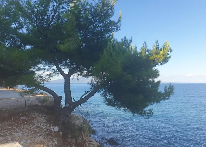 Azzurra Experience Daire *